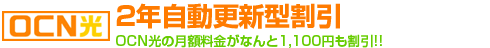2年自動更新型割引