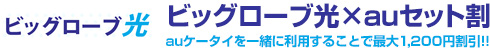 ビッグローブ光×auセット割