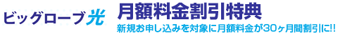 biglobe光 月額料金割引特典